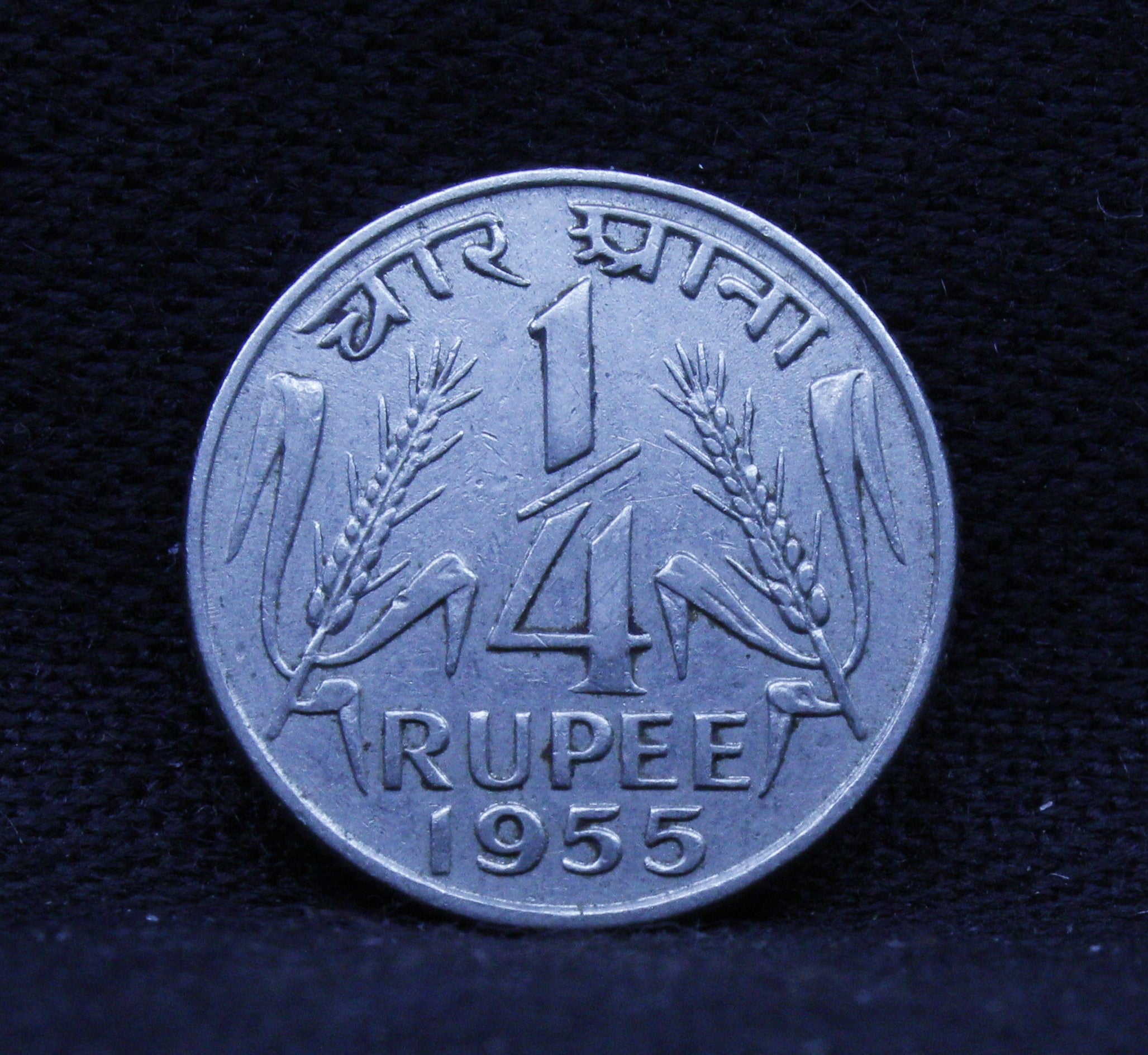 Quarter Rs - Corn Sheaf -1955-UNC